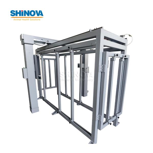Sistema DR para Grandes Animais para Imagem Abdominal de Equinos e Bovinos