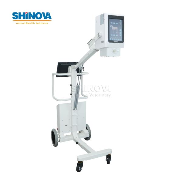 Raio-X Digital Veterinário Portátil (DR) para Equinos