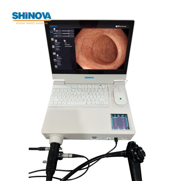 Videoendoscópio Veterinário 3 em 1 Tipo Laptop
